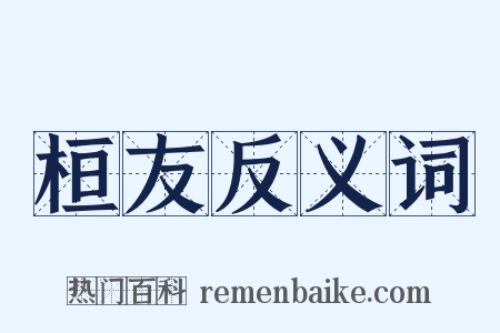 桓友反义词是什么意思的图片
